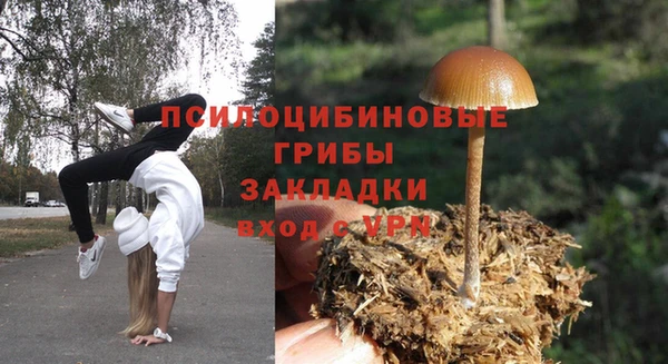 герыч Дедовск