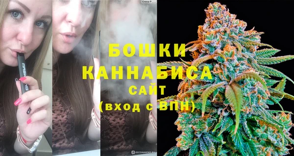 индика Липки
