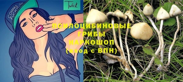 MESCALINE Лабытнанги