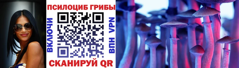 Галлюциногенные грибы Psilocybe купить наркотик Курчатов