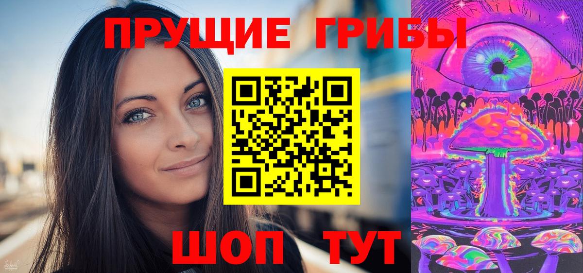 Псилоцибиновые грибы Psilocybe Курчатов