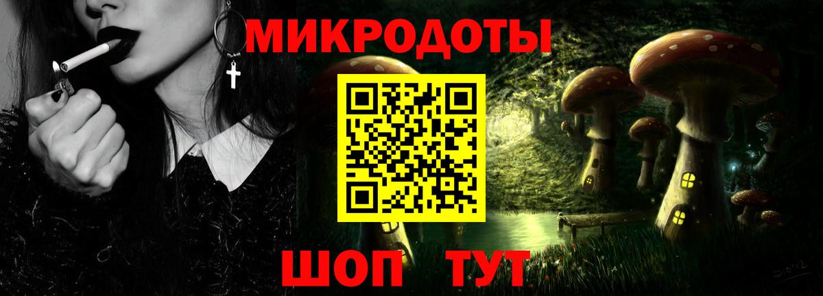 Курчатов  наркотики  Вход с VPN  Галлюциногенные грибы MAGIC MUSHROOMS  Галлюциногенные грибы мицелий 