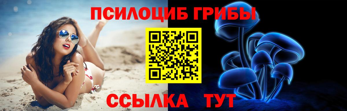 Галлюциногенные грибы мицелий  Курчатов 